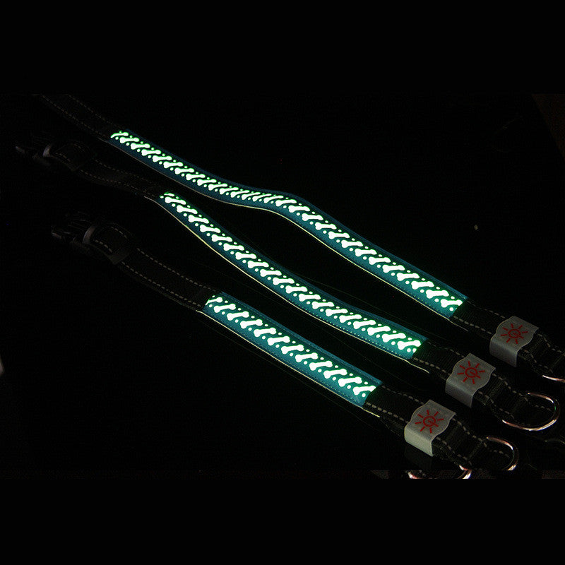 Leuchtendes geprägtes LED Halsband